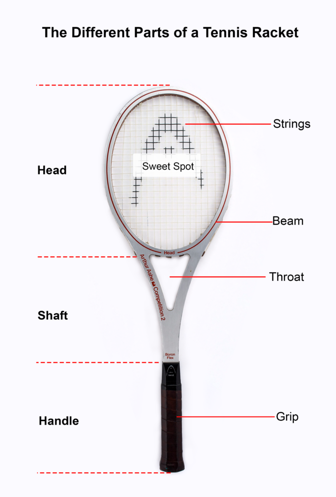 In this graphic, there are 8 parts of a tennis racket and they are head, shaft, handle, grip, throat, beam, strings, and sweet spot.